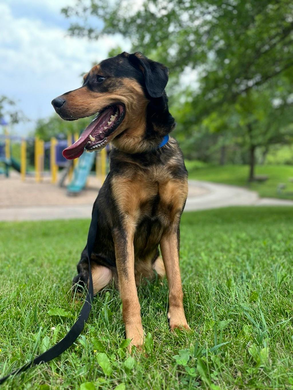 Maximus