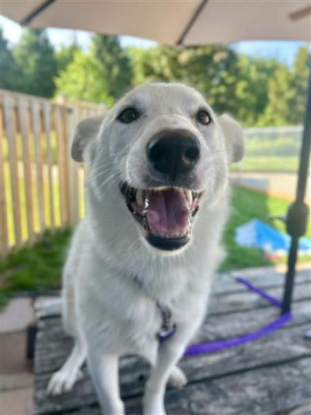 Kelsey Image