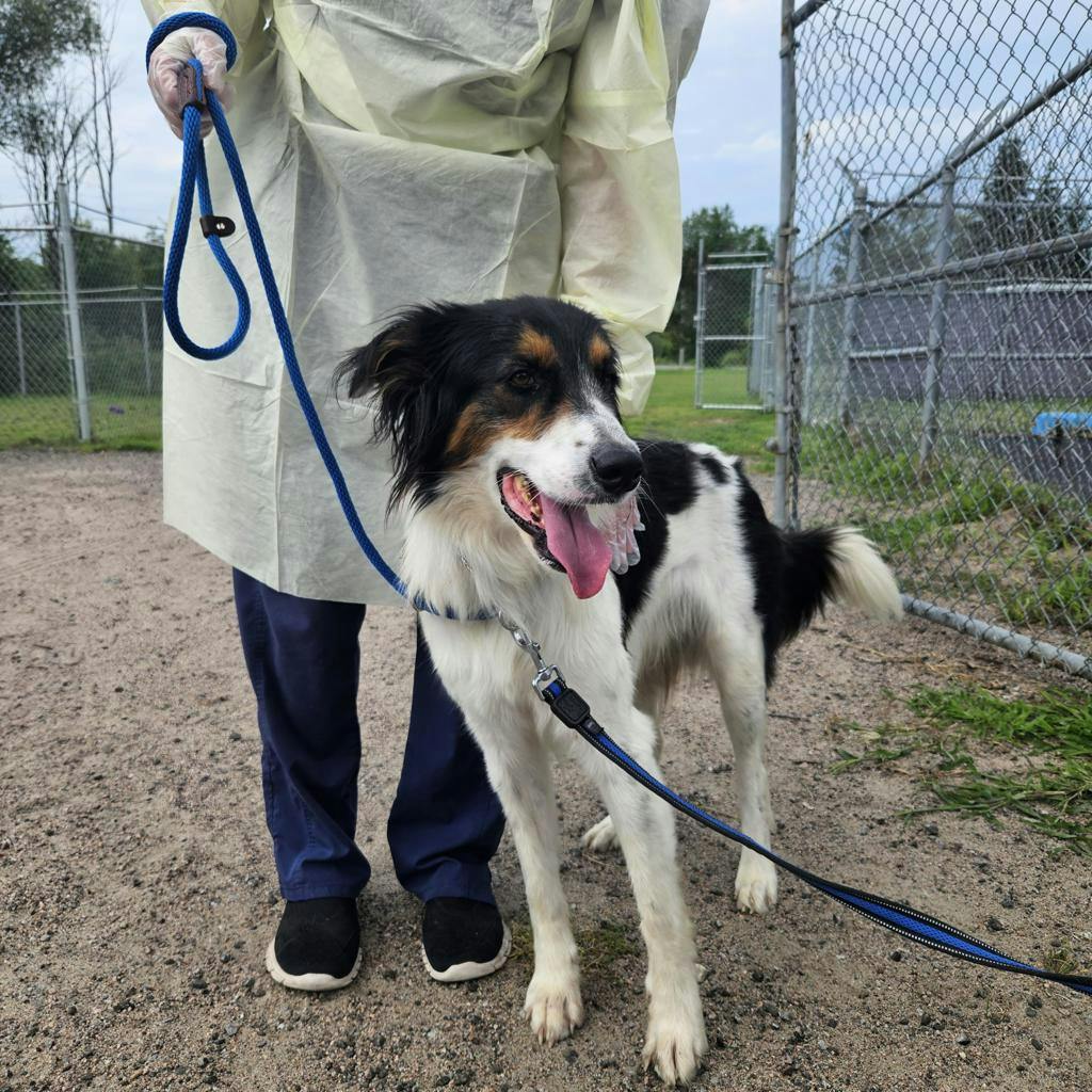 Oscar Image