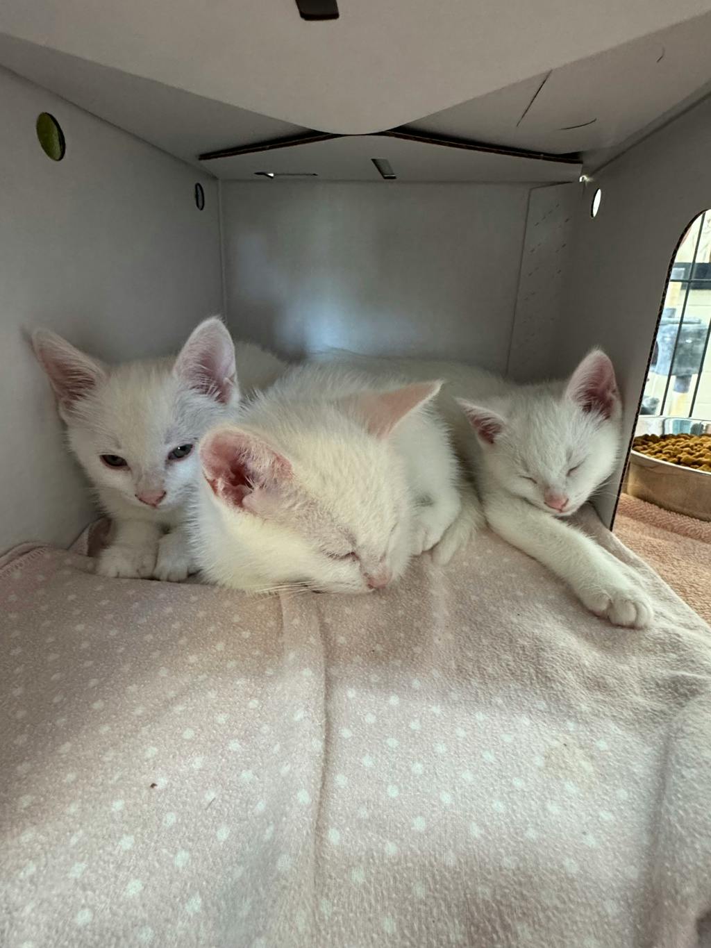 Linen Image