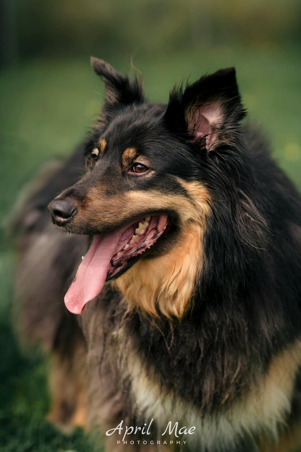 Max